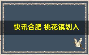 快讯合肥 桃花镇划入主城